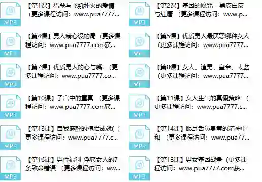 甄琦学长《成功男人的情感刚需》实战指南|限时揭秘专属情感升级方案-破晓实验室