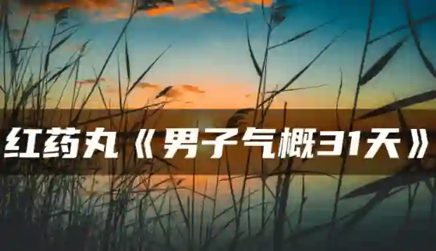 红色药丸《男子气概31天》实战指南:限时揭秘专属成长路径-破晓实验室