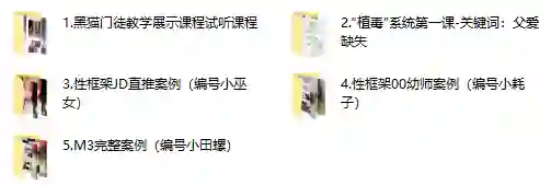 黑猫门徒核心课实战指南：限时揭秘专属成长路径-破晓实验室