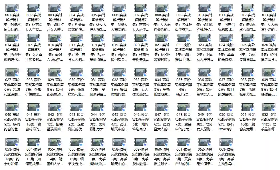 瑞恩自然之道Plus实战指南｜价值12800元专属揭秘版【完结】-破晓实验室
