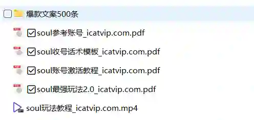 Soul最新玩法实战指南：500条爆款文案限时揭秘-破晓实验室