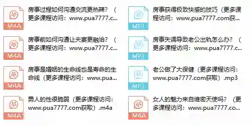 图片[1]-朱身勇《夫妻房事管理》实战指南：限时揭秘专属亲密关系升级法-破晓实验室
