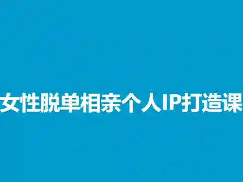 蓝冰《女性脱单相亲个人IP打造课》实战指南｜限时揭秘专属变现路径-破晓实验室