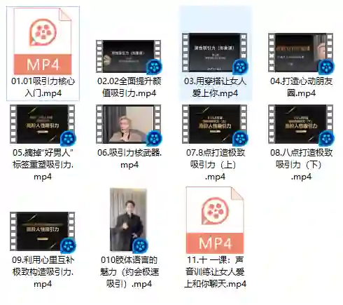 图片[2]-子轩老师男性吸引力实战指南1.0（限时揭秘+专属方法）-破晓实验室