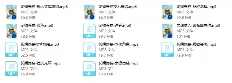 猎人技术实战指南｜2024最新版限时揭秘+专属资源-破晓实验室
