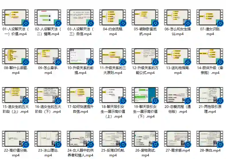 图片[1]-麦子《脱单实战VIP课》限时揭秘：专属脱单指南-破晓实验室