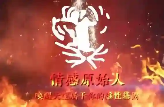 火种情感《情感原始人》实战指南:揭秘原始吸引力法则-破晓实验室